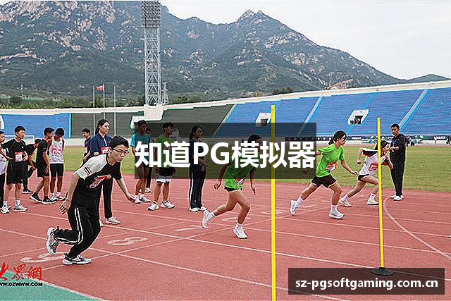 知道PG模拟器